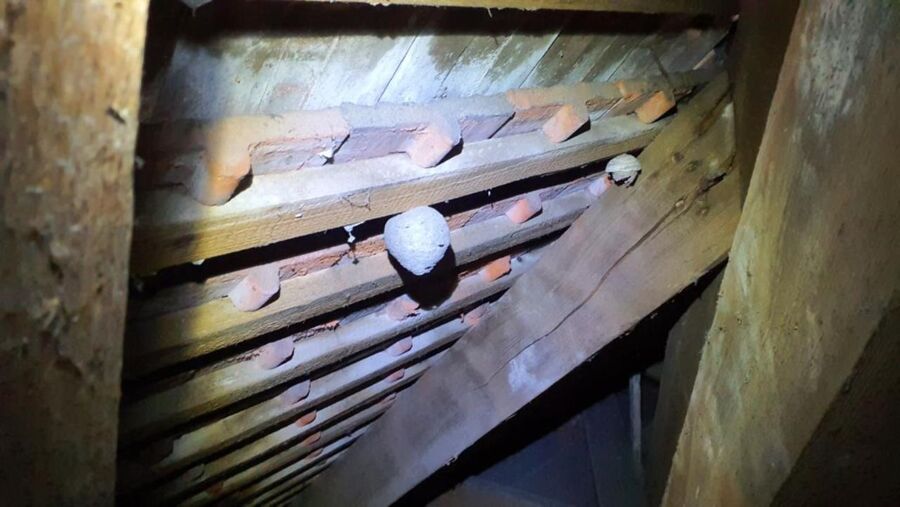 Im Dachstuhl eines Hauses in Baar (6340, Kanton Zug) haengt ein Wespennest, das durch einen Kammerjaeger entfernt werden soll.