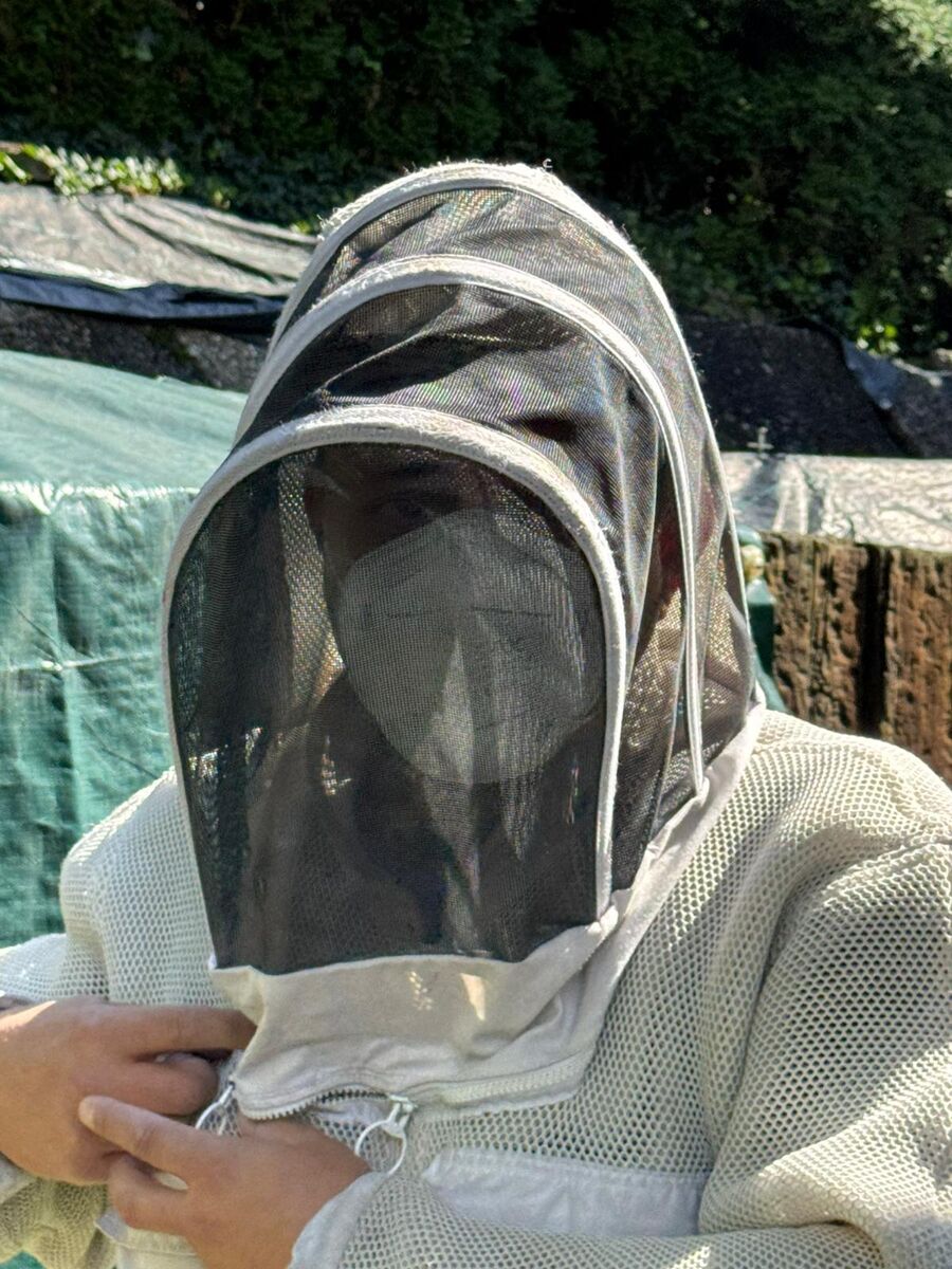 Ein Kammerjaeger in Cham (6330, Kanton Zug), traegt einen Schutzanzug mit Netzhaube, um sich vor Insekten zu schuetzen.