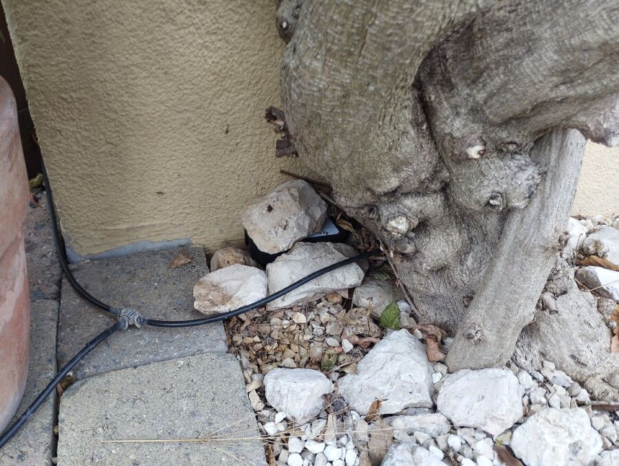 Zwischen Steinen und Wurzeln eines Baumes in Hünenberg (6331, Kanton Zug), ist eine schwarze Köderbox platziert, um Insekten zu bekämpfen.