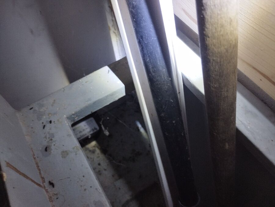 Im Inneren eines Abstellraums in Menzingen (6313, Kanton Zug), ist eine schwarze Köderbox neben Rohren und Holz angebracht.