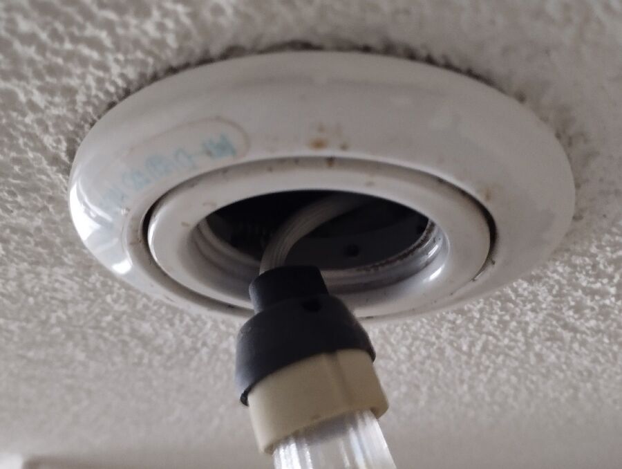 Eine geoeffnete Deckenlampe in Risch (6343, Kanton Zug), zeigt Kabel und oeffneten Raum, der als Zugang fuer Insekten dienen koennte.