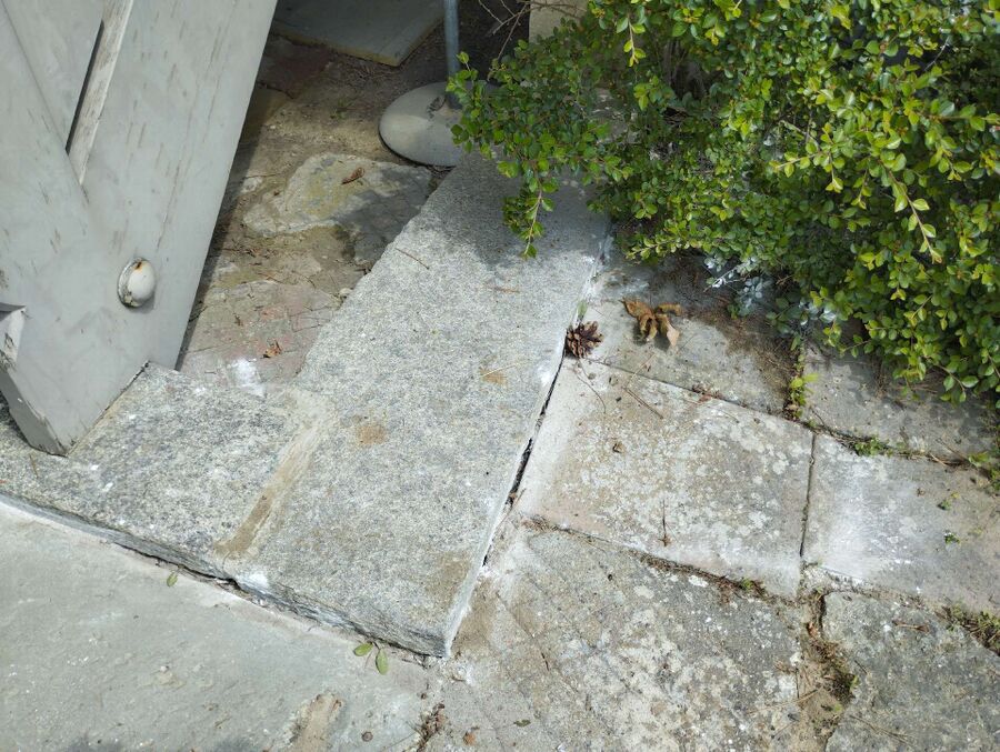 Unter Steinplatten in Cham (6330, Kanton Zug), liegt ein kleines Wespennest verborgen nahe einem Strauch im Aussenbereich.