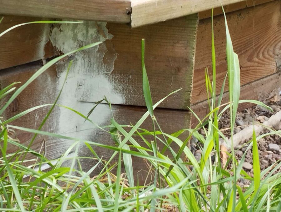 An der Holzverschalung im Aussenbereich in Walchwil (6318, Kanton Zug), sind weisse Spuren erkennbar, die mit einem Wespennest zusammenhaengen koennen.