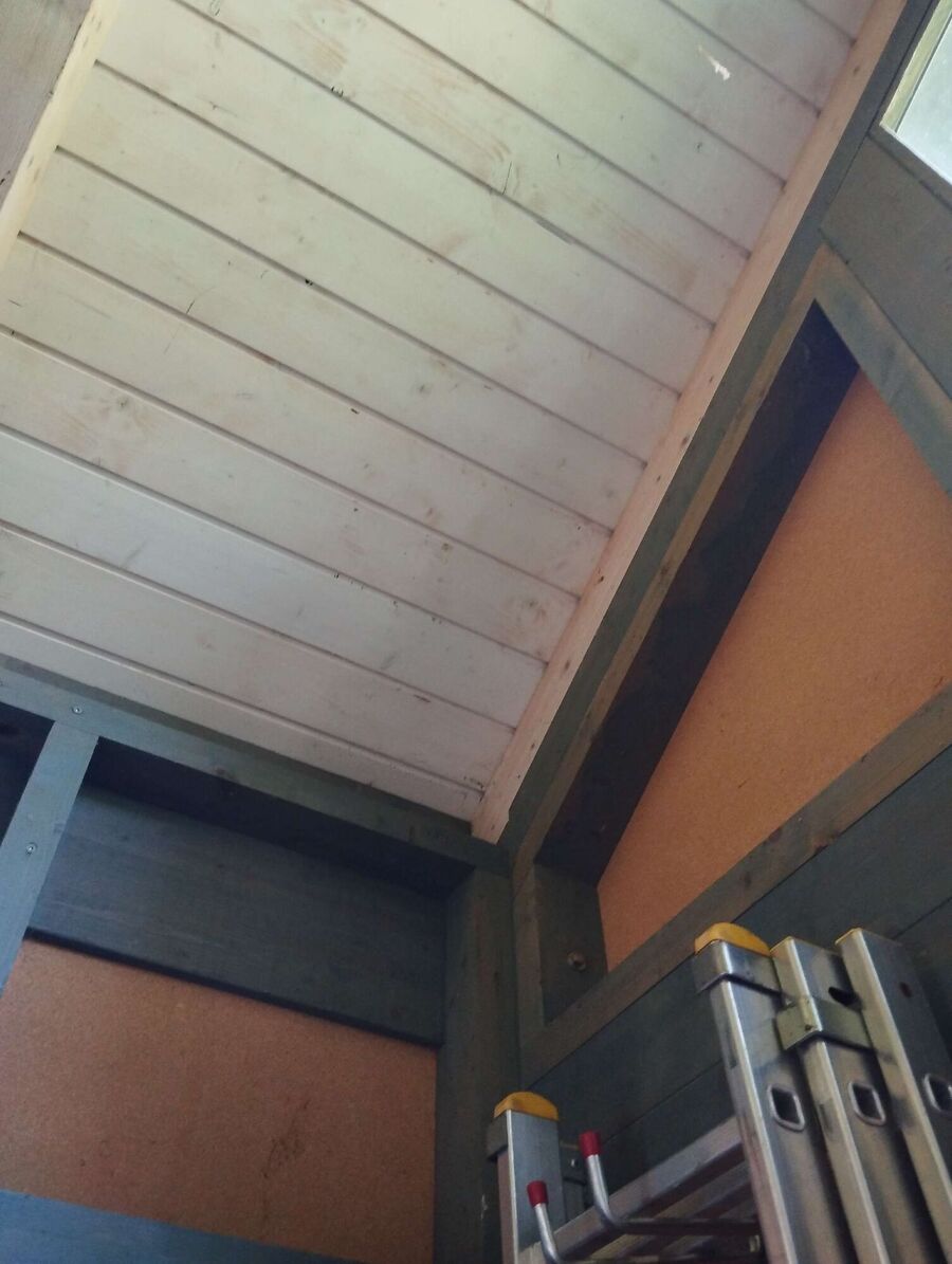 Unter dem Dach eines Holzschuppens in Hünenberg (6331, Kanton Zug), zeigen sich Anzeichen, die auf ein verborgenes Wespennest hinweisen.