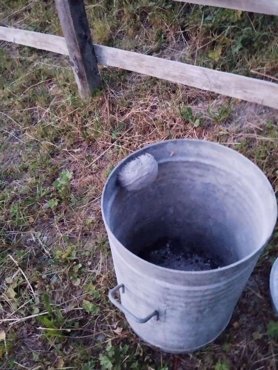 In einem Metallbehaelter im Freien in Oberägeri (6315, Kanton Zug), befindet sich ein festes, rundes Wespennest am Rand.