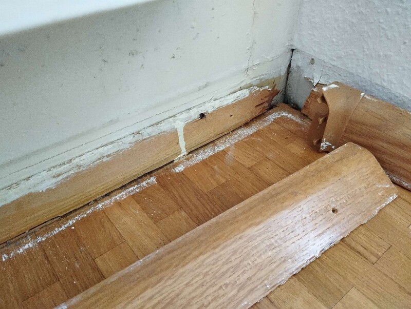 Hinter einer entfernten Fussleiste in Cham (6330, Kanton Zug), sind weisse Rueckstaende und Holzspuren sichtbar, die auf ein Wespennest hindeuten koennen.